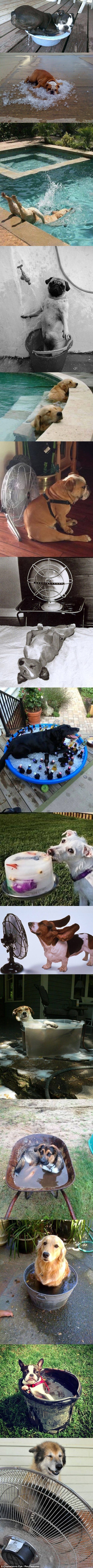 opet najavljuju vrućine, a evo kako se boriti protiv njih..:))