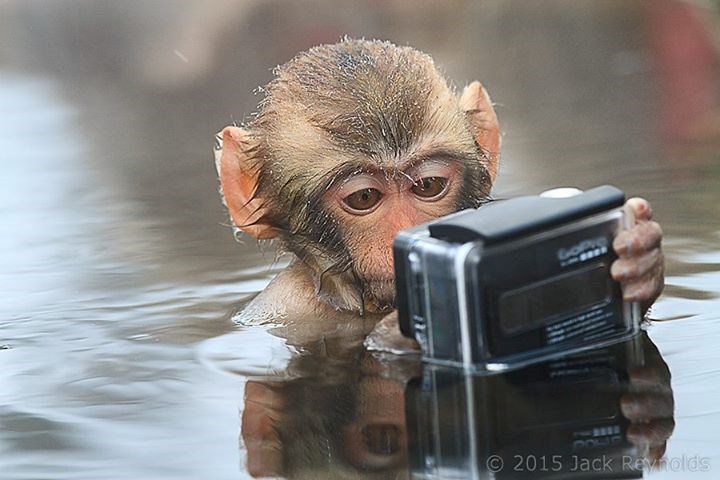 bebač radi selfie..