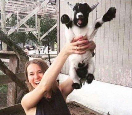 teško je reći tko je sretniji..