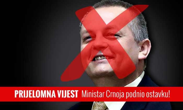 Podnio ?? Da :))) a onda je svizac zamotao čokoladu...