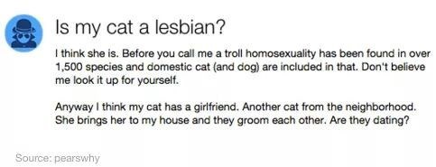 pusti sine, tata će..