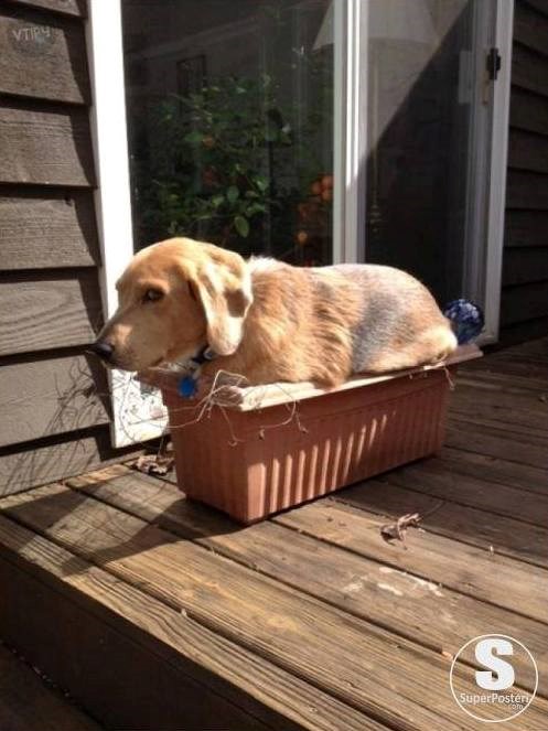 haha..branim se šutnjom ??