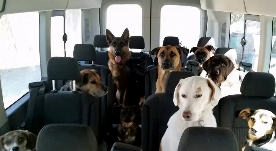 na izlet sa razredom..:)