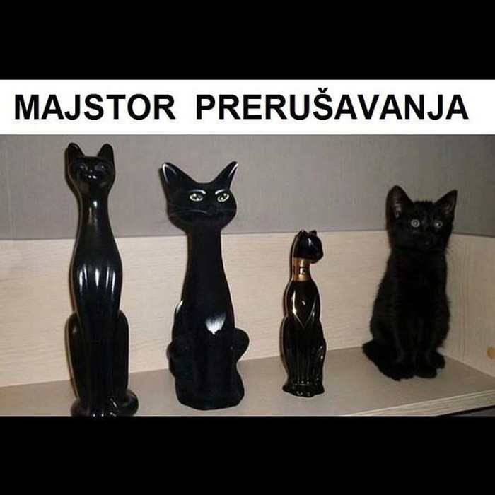 izbaci uljeza..:)))