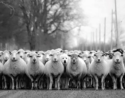 u nadi da neće i ovi zbori proći u ovom tonu..