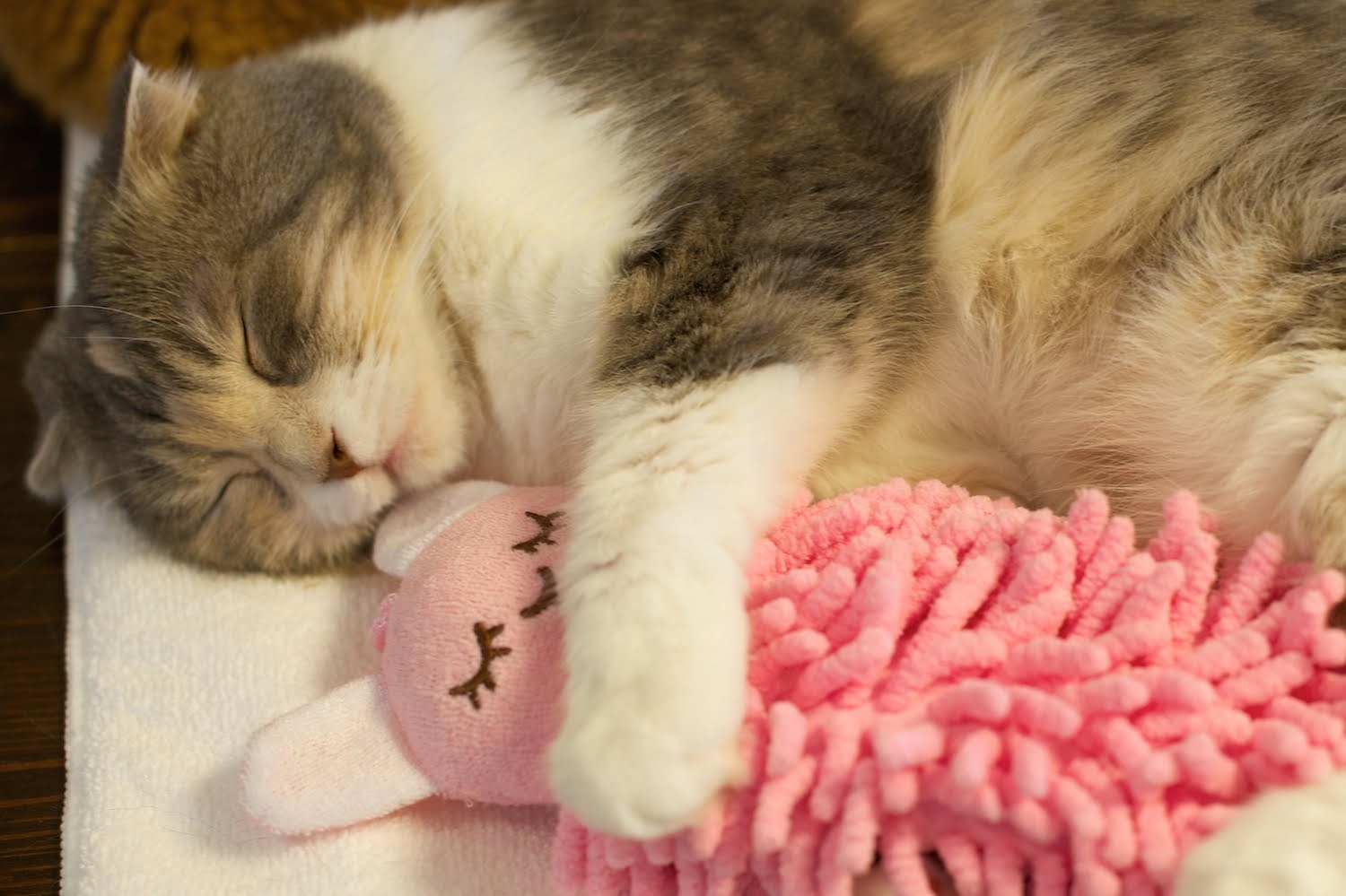 pogledajte ovaj video, ali na osobni rizik..:)))