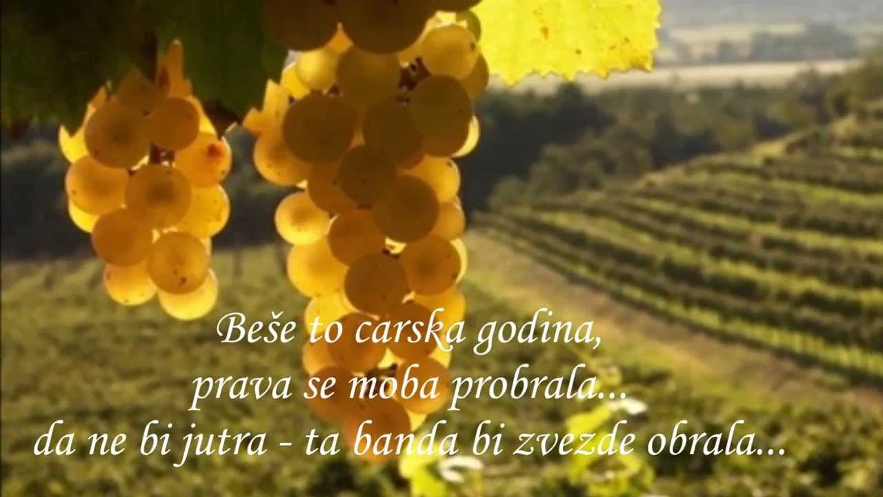 Djordje Balasevic - Berba '59.