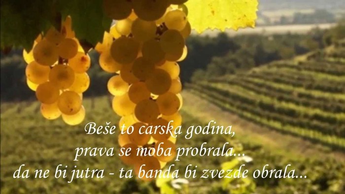 Djordje Balasevic - Berba '59.