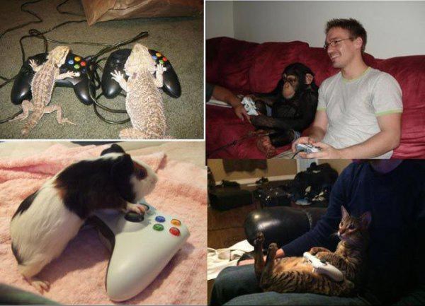 ekipa se ne skida sa igrice..ludilo..:))