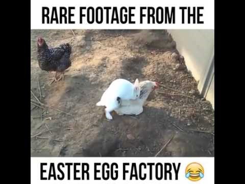 sretan uskrs..:))) video