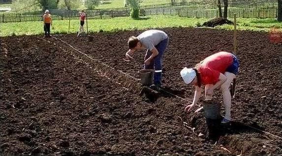 solarij, fitness, teretana..all in one