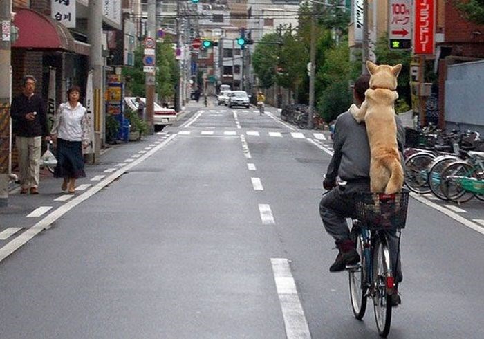 life is beautiful..:))