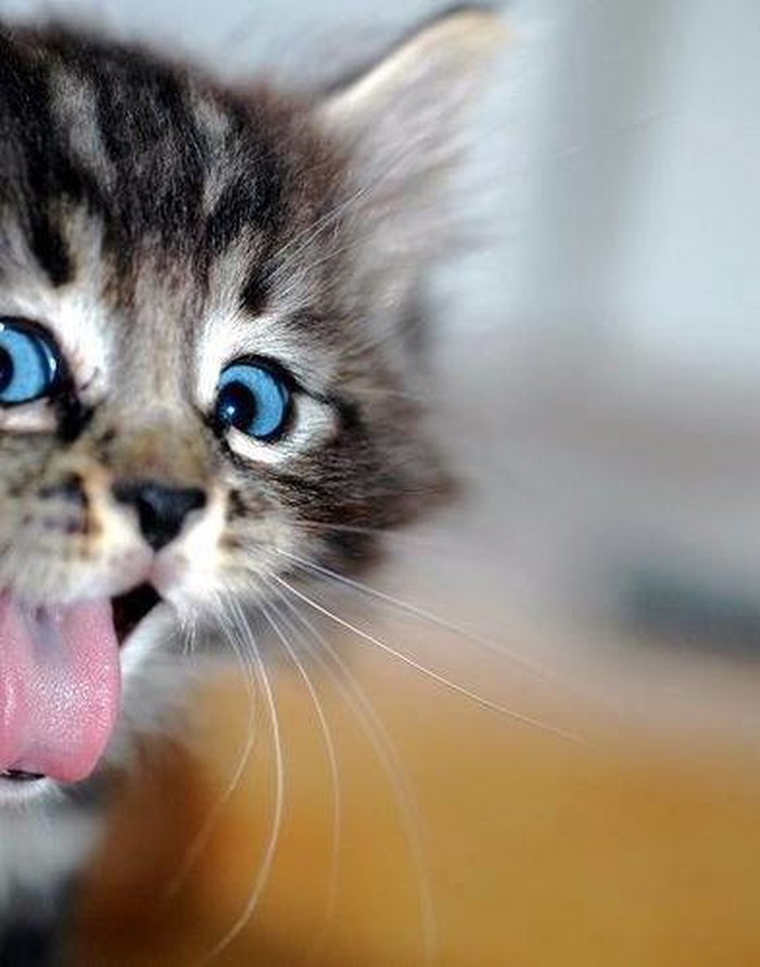 Surprise !!