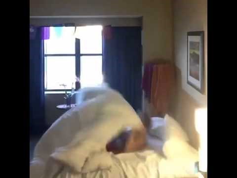 kada ugledaš krevat nakon napornog dana...video