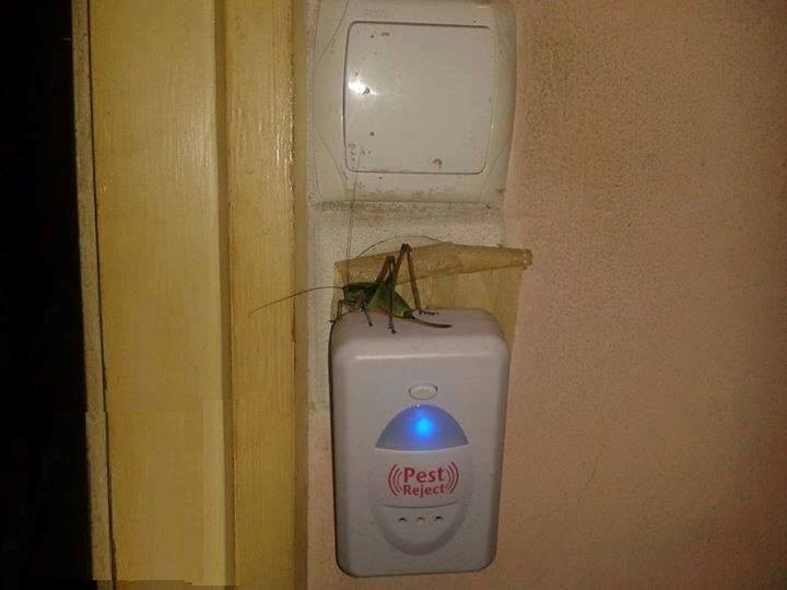 učinkovito..iako moram priznati da mi je drago što je tako..