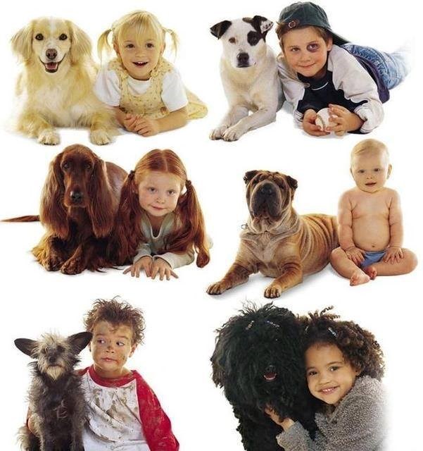 sve ima svoje, i vatra i led..