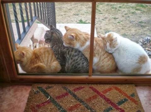 budi moj jastuk..:))