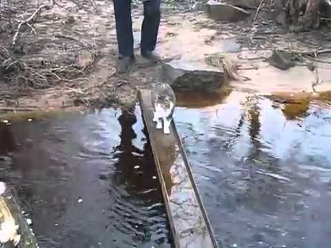 šapice moraju uvijek biti čiste, to je pitanje higijene..video:)))