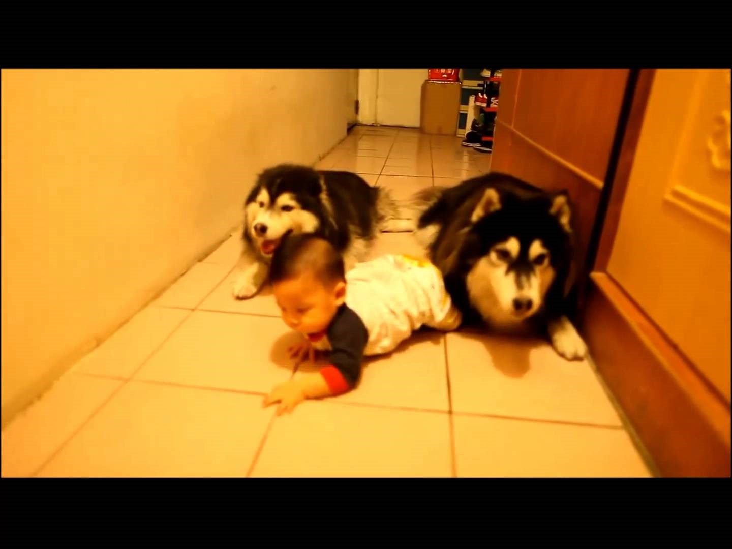 u društvu je lakše naučiti puzati..video..:)))