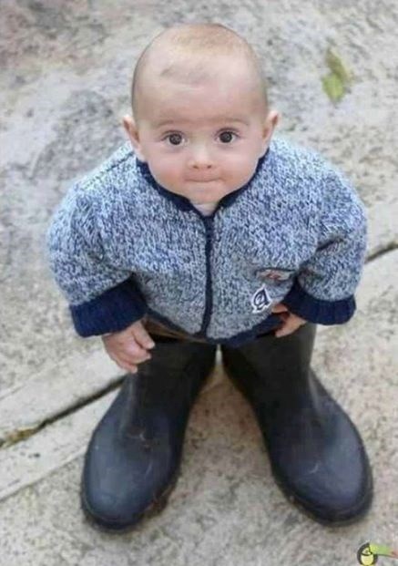 taman po mjeri..za jedno 20-tak godina..