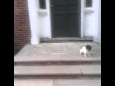 :)))..uvijek postoji lakši način..video