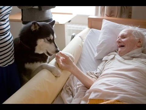 nekome  malo, a nekome sve..video