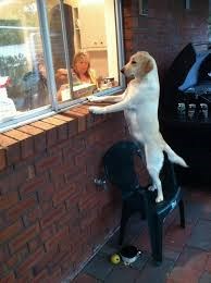 dvije porcije za van, molim..