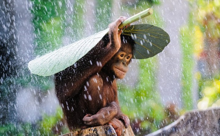 snađi se, druže..:))