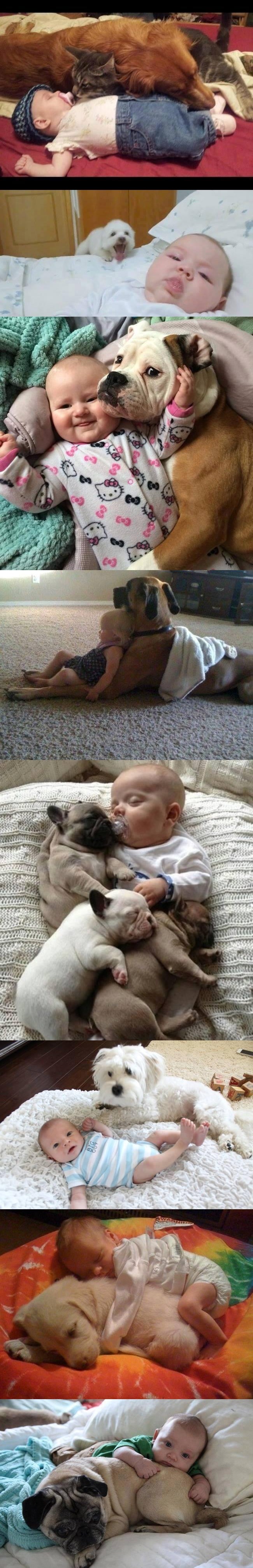 život je svakako ljepši u društvu voljenih..