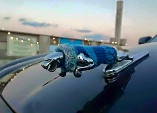 zimsko izdanje jaguara..