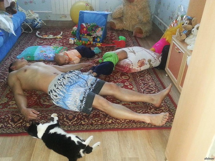 kolektivni umor..:)))