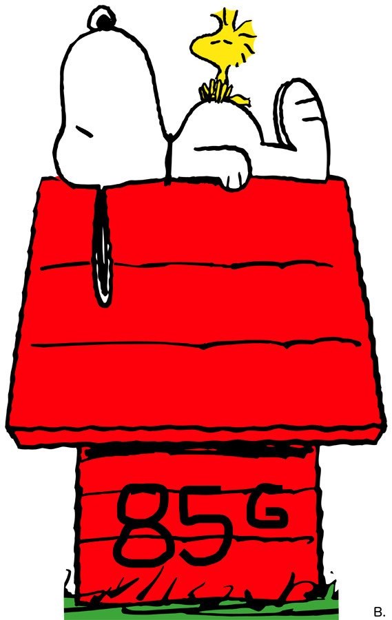 snoopy..prevarantu..