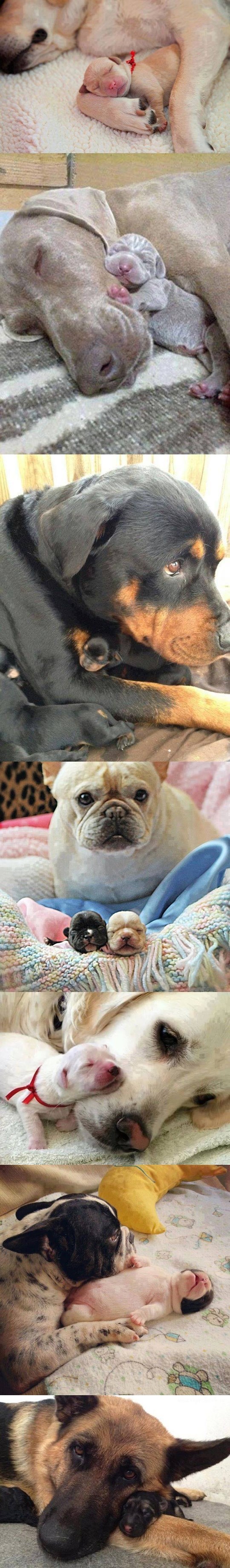 ima li išta slađe..:))