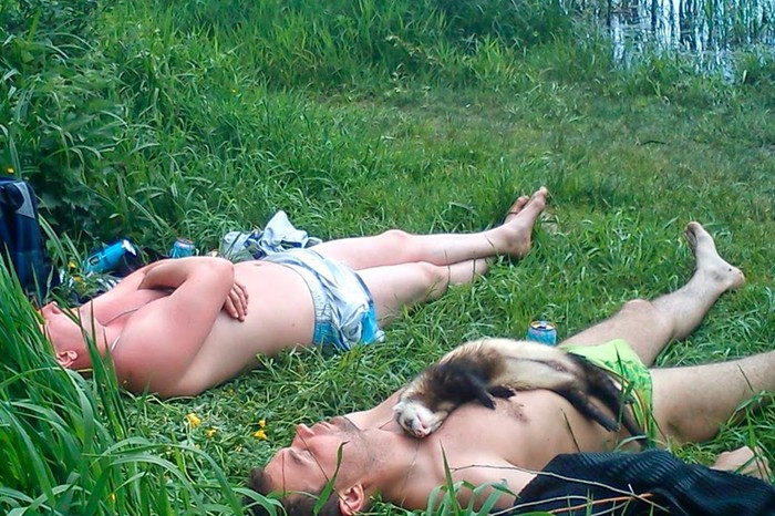 svi se ponapijali..