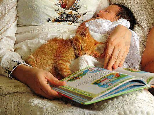 svi bebači vole priče za laku noć..:))