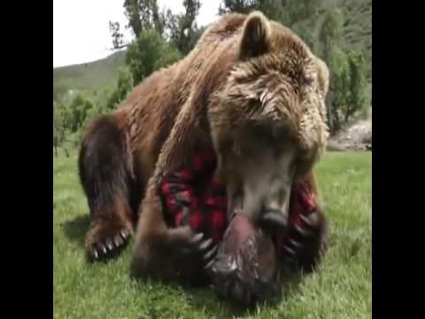 neka druga prijateljstva..video