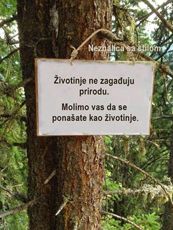 molba..