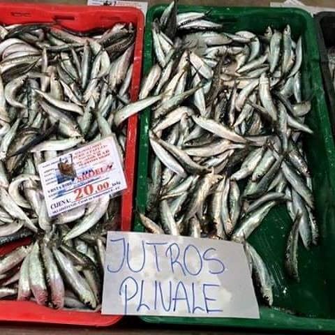 ali nedovoljno brzo..