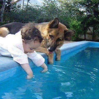 budno pazi na prijatelja..