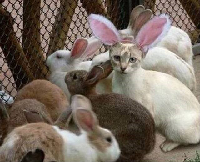 u pogrešno vrijeme, na pogrešnom mjestu u pogrešnoj koži..poznat osjećaj ??