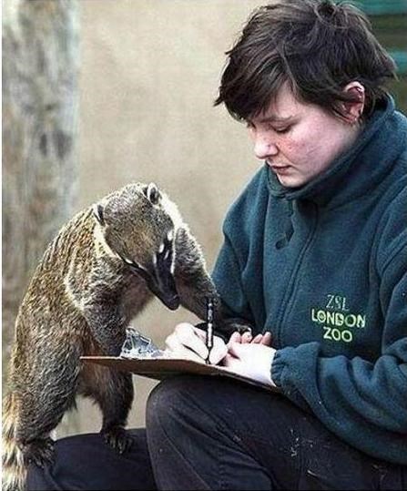 dobro je , dobro, samo pazi na č i ć..