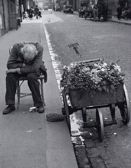 i zato radite, radite i radite kako biste mogli starost provesti u dostojanstvu - vaša Vlada