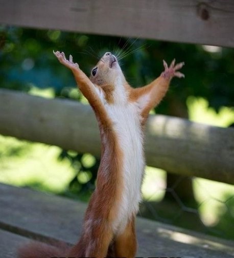 Nebesa pomagajte, opet gorivo poskupilo..