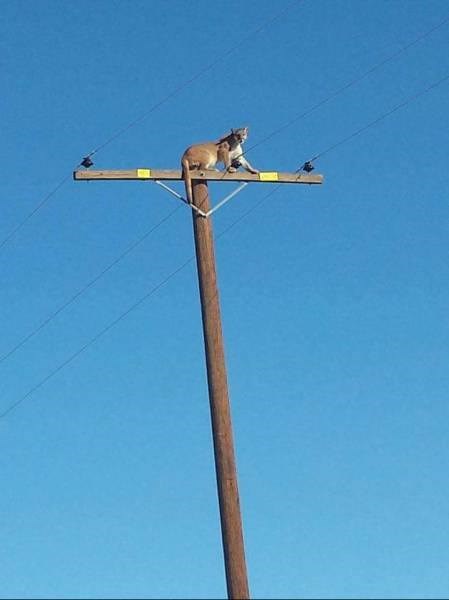 o, da..a nezahvalni ručak odletio..:))