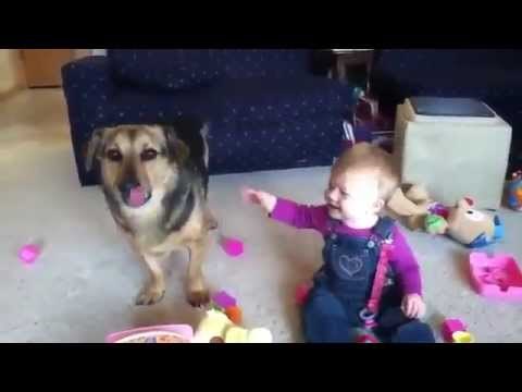 savršen babysitter..video