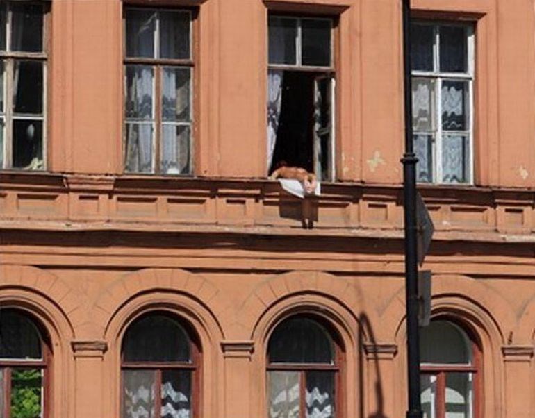 i sunčanje postalo extremni sport..?!