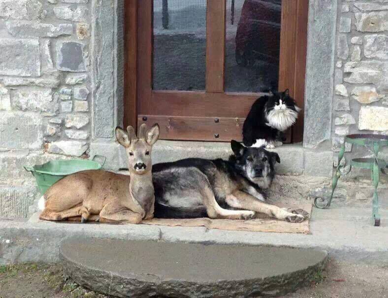 o, kad bi svi ljudi na svijetu..