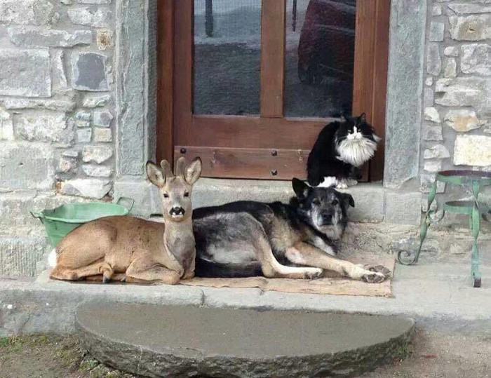 o, kad bi svi ljudi na svijetu..