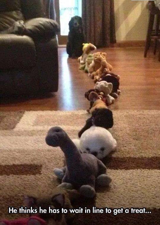 pa nije čovjek da se gura i svađa, red je red..