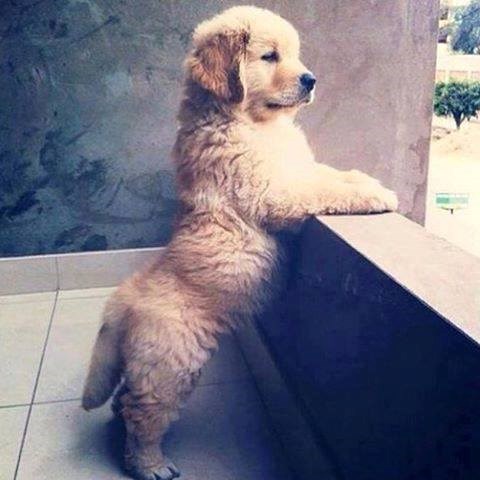 eh, kad će taj kraj radnog vremena..:)))